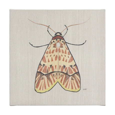 Moth I by Mercana Studio a Hand Embellished Textured Canvas by Mercana at Eve Furniture