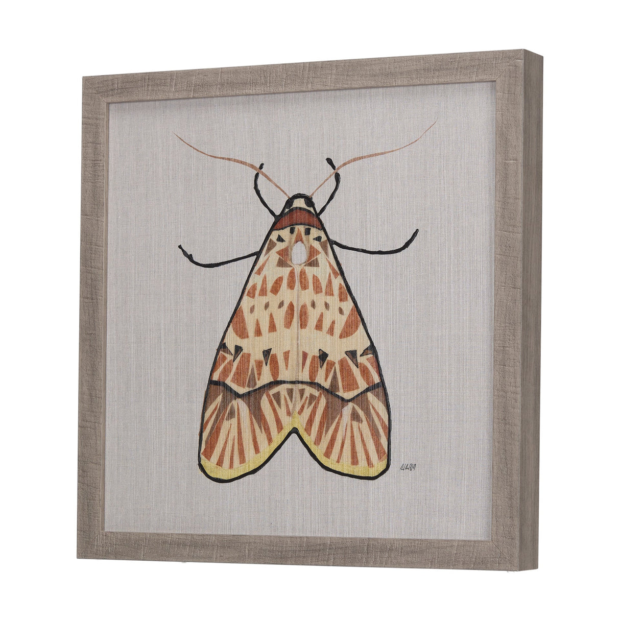Moth I by Mercana Studio a Hand Embellished Textured Framed Art Print by Mercana at Eve Furniture