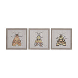 Moth I by Mercana Studio a Hand Embellished Textured Framed Art Print by Mercana at Eve Furniture