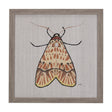 Moth I by Mercana Studio a Hand Embellished Textured Framed Art Print by Mercana at Eve Furniture