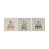Moth II by Mercana Studio a Hand Embellished Textured Canvas by Mercana at Eve Furniture
