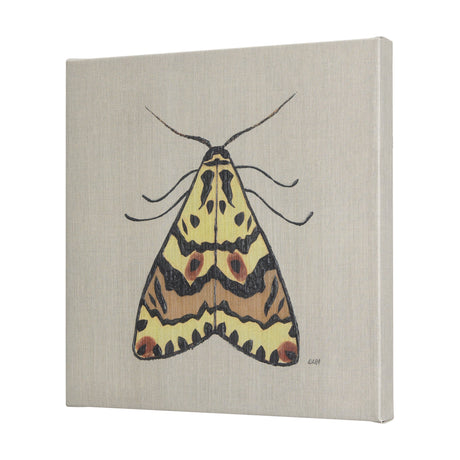 Moth III by Mercana Studio a Hand Embellished Textured Canvas by Mercana at Eve Furniture