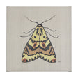 Moth III by Mercana Studio a Hand Embellished Textured Canvas by Mercana at Eve Furniture