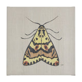Moth III by Mercana Studio a Hand Embellished Textured Canvas by Mercana at Eve Furniture