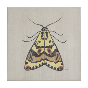 Moth III by Mercana Studio a Hand Embellished Textured Canvas by Mercana at Eve Furniture