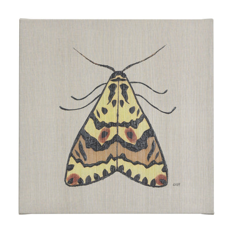 Moth III by Mercana Studio a Hand Embellished Textured Canvas by Mercana at Eve Furniture