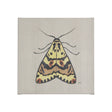 Moth III by Mercana Studio a Hand Embellished Textured Canvas by Mercana at Eve Furniture