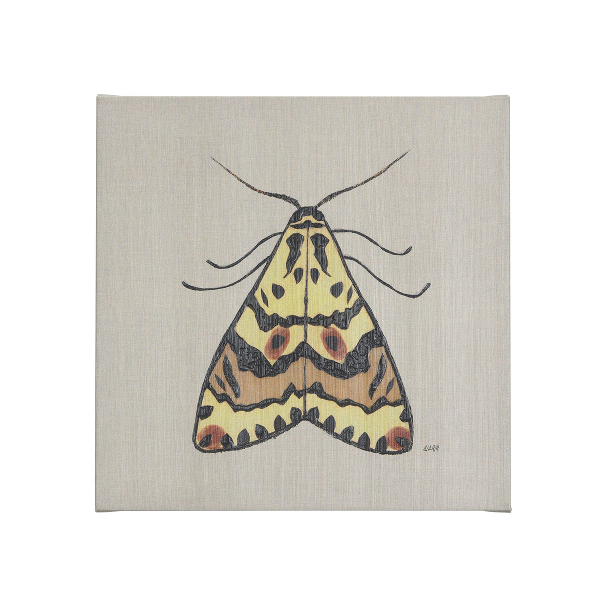 Moth III by Mercana Studio a Hand Embellished Textured Canvas by Mercana at Eve Furniture