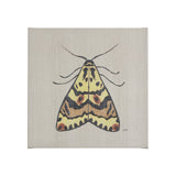 Moth III by Mercana Studio a Hand Embellished Textured Canvas by Mercana at Eve Furniture