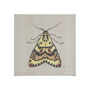 Moth III by Mercana Studio a Hand Embellished Textured Canvas by Mercana at Eve Furniture