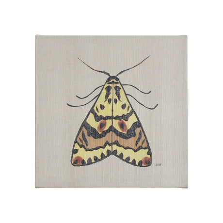 Moth III by Mercana Studio a Hand Embellished Textured Canvas by Mercana at Eve Furniture