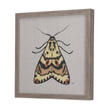 Moth III by Mercana Studio a Hand Embellished Textured Framed Art Print by Mercana at Eve Furniture