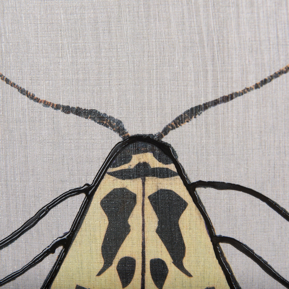 Moth III by Mercana Studio a Hand Embellished Textured Framed Art Print by Mercana at Eve Furniture