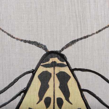 Moth III by Mercana Studio a Hand Embellished Textured Framed Art Print by Mercana at Eve Furniture