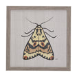 Moth III by Mercana Studio a Hand Embellished Textured Framed Art Print by Mercana at Eve Furniture