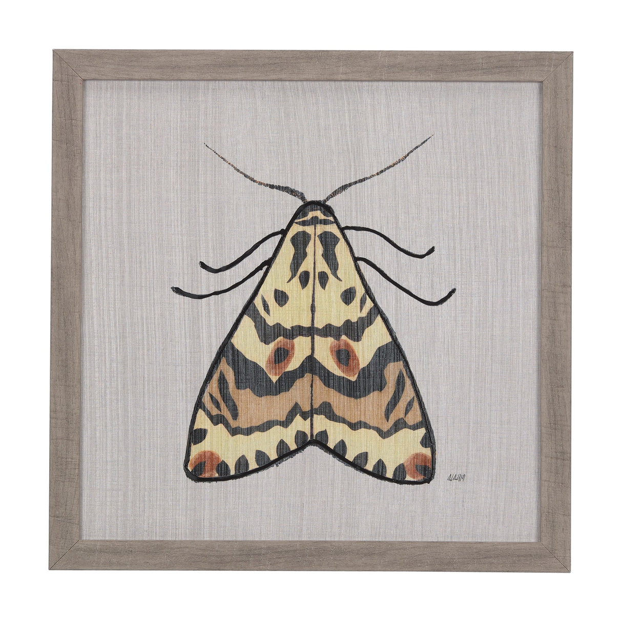 Moth III by Mercana Studio a Hand Embellished Textured Framed Art Print by Mercana at Eve Furniture
