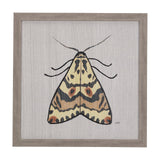 Moth III by Mercana Studio a Hand Embellished Textured Framed Art Print by Mercana at Eve Furniture