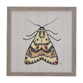 Moth III by Mercana Studio a Hand Embellished Textured Framed Art Print by Mercana at Eve Furniture