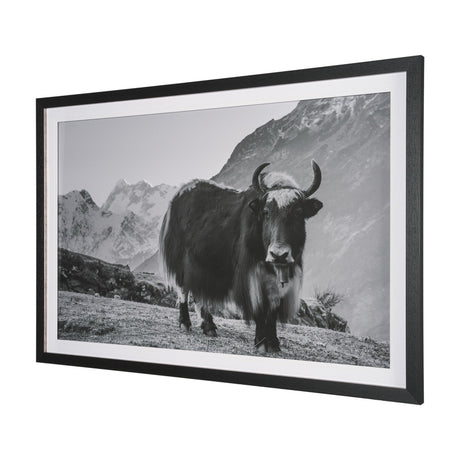 Mountain Majesty - Stance by Matt Roseveare Framed Art Print Matted under Glass by Mercana at Eve Furniture