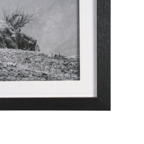 Mountain Majesty - Stance by Matt Roseveare Framed Art Print Matted under Glass by Mercana at Eve Furniture