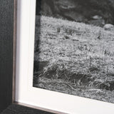 Mountain Majesty - Stance by Matt Roseveare Framed Art Print Matted under Glass by Mercana at Eve Furniture