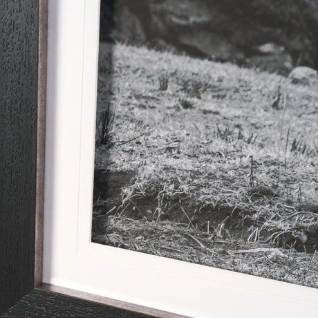 Mountain Majesty - Stance by Matt Roseveare Framed Art Print Matted under Glass by Mercana at Eve Furniture