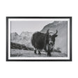 Mountain Majesty - Stance by Matt Roseveare Framed Art Print Matted under Glass by Mercana at Eve Furniture