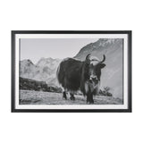 Mountain Majesty - Stance by Matt Roseveare Framed Art Print Matted under Glass by Mercana at Eve Furniture