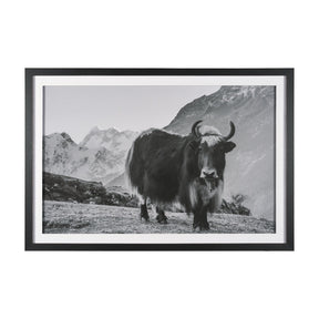 Mountain Majesty - Stance by Matt Roseveare Framed Art Print Matted under Glass by Mercana at Eve Furniture