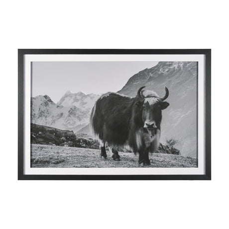 Mountain Majesty - Stance by Matt Roseveare Framed Art Print Matted under Glass by Mercana at Eve Furniture