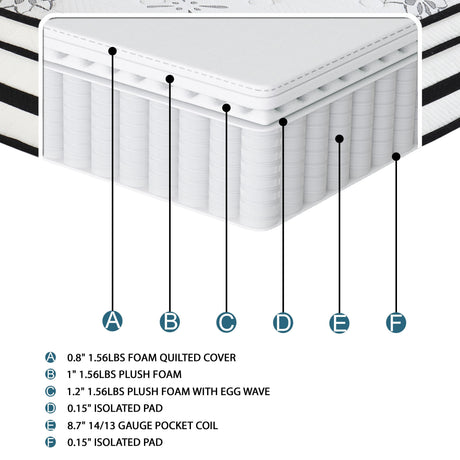 MT-PH12CK 12" California King Hybrid Mattress by Homelegance at Eve Furniture