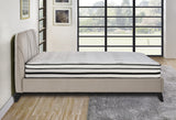 MT-PH12CK 12" California King Hybrid Mattress by Homelegance at Eve Furniture