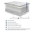 MT-PH12CK 12" California King Hybrid Mattress by Homelegance at Eve Furniture