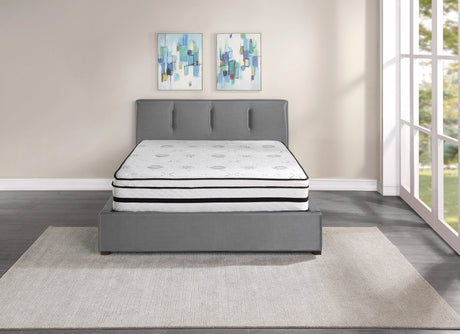 MT-PH12Q 12" Queen Hybrid Mattress by Homelegance at Eve Furniture