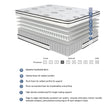 MT-PH12T 12" Twin Hybrid Mattress by Homelegance at Eve Furniture