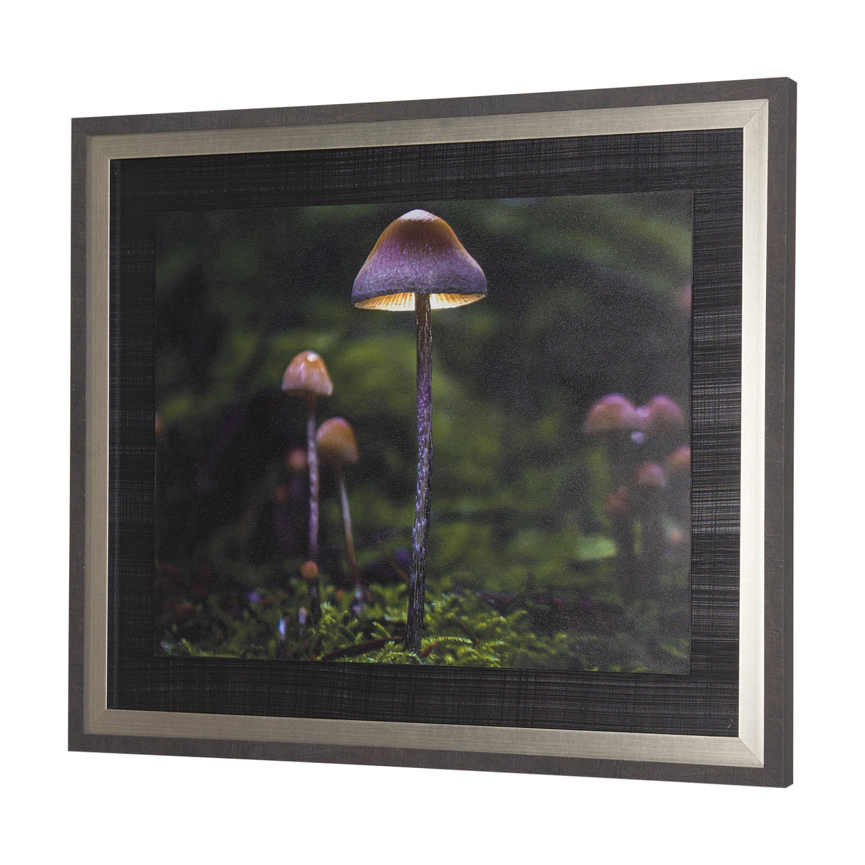Mushroom by Chad Mackay a Hand Embellished Textured Framed Photo Art Print by Mercana at Eve Furniture