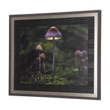Mushroom by Chad Mackay a Hand Embellished Textured Framed Photo Art Print by Mercana at Eve Furniture