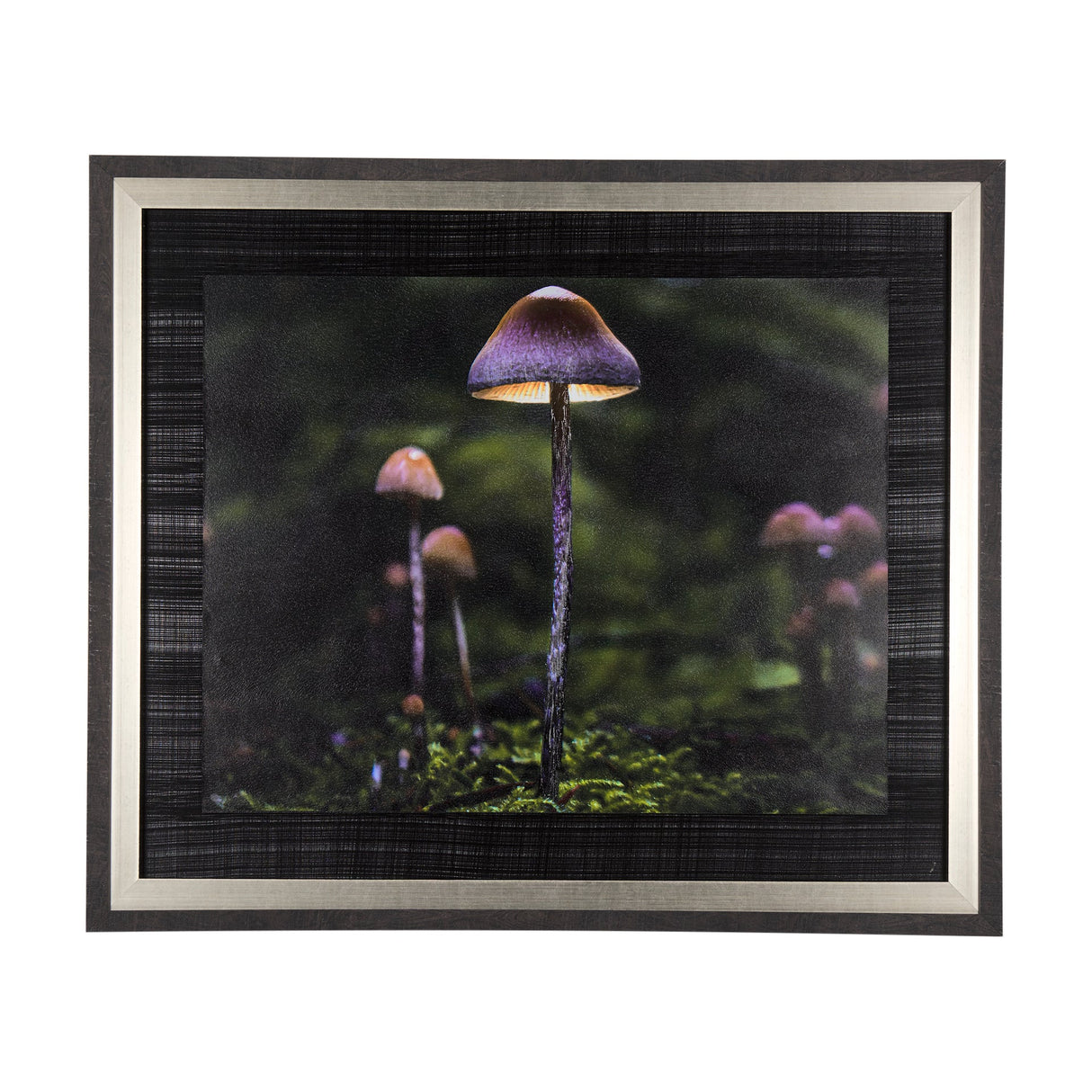 Mushroom by Chad Mackay a Hand Embellished Textured Framed Photo Art Print by Mercana at Eve Furniture