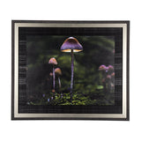 Mushroom by Chad Mackay a Hand Embellished Textured Framed Photo Art Print by Mercana at Eve Furniture