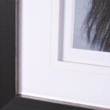 Muskox by Gary Blatter a Hand Embellished Textured Framed Photo Art Print Matted under Glass by Mercana at Eve Furniture
