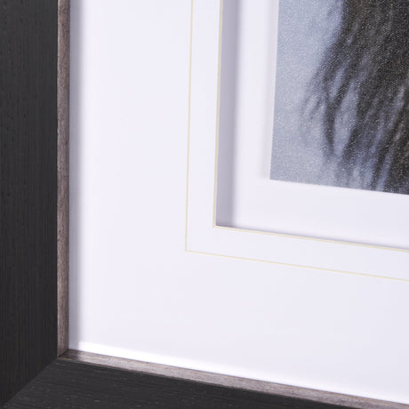 Muskox by Gary Blatter a Hand Embellished Textured Framed Photo Art Print Matted under Glass by Mercana at Eve Furniture