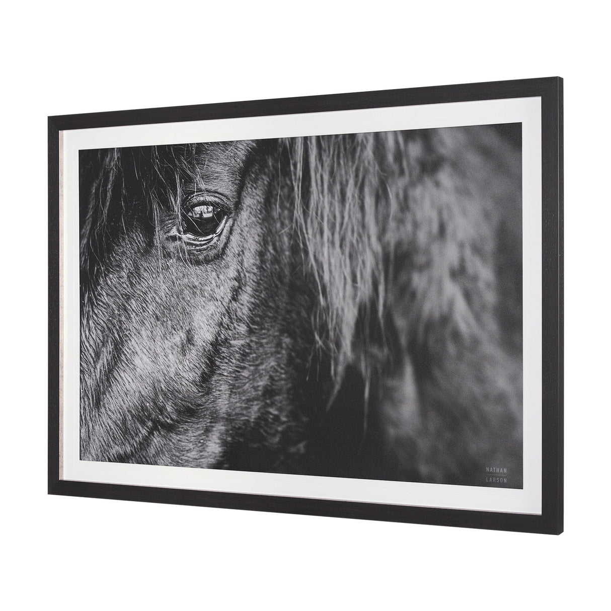 Mustang by Nathan Larson a Hand Embellished Framed Photo Art Print Matted under Glass by Mercana at Eve Furniture