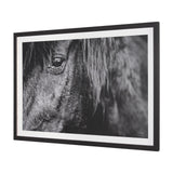 Mustang by Nathan Larson a Hand Embellished Framed Photo Art Print Matted under Glass by Mercana at Eve Furniture