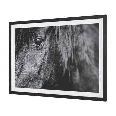 Mustang by Nathan Larson a Hand Embellished Framed Photo Art Print Matted under Glass by Mercana at Eve Furniture