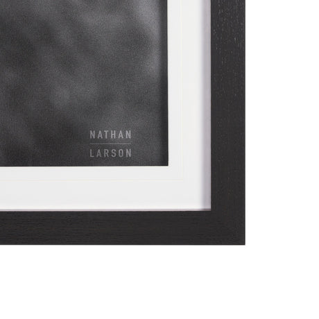 Mustang by Nathan Larson a Hand Embellished Framed Photo Art Print Matted under Glass by Mercana at Eve Furniture
