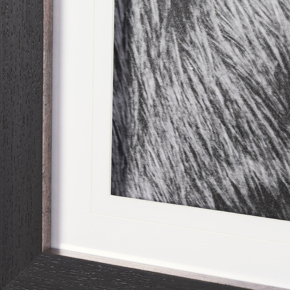 Mustang by Nathan Larson a Hand Embellished Framed Photo Art Print Matted under Glass by Mercana at Eve Furniture