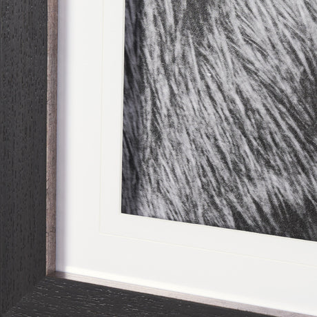 Mustang by Nathan Larson a Hand Embellished Framed Photo Art Print Matted under Glass by Mercana at Eve Furniture