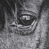Mustang by Nathan Larson a Hand Embellished Framed Photo Art Print Matted under Glass by Mercana at Eve Furniture