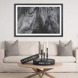 Mustang by Nathan Larson a Hand Embellished Framed Photo Art Print Matted under Glass by Mercana at Eve Furniture
