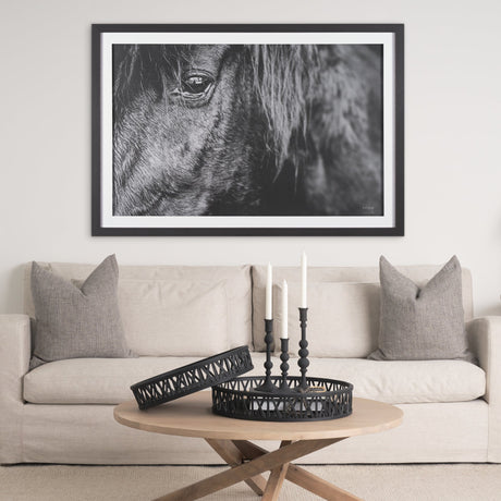 Mustang by Nathan Larson a Hand Embellished Framed Photo Art Print Matted under Glass by Mercana at Eve Furniture